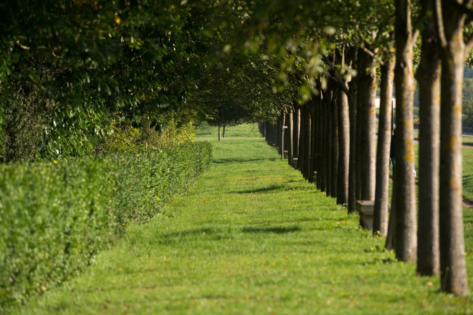 Pavillon Henri IV Hotel Restaurant Gastronomique Terrasse