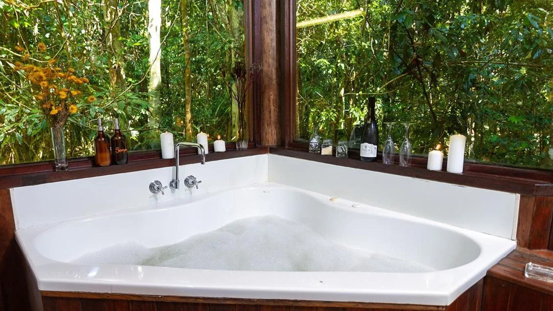 The Canopy Rainforest Treehouses and Wildlife Sanctuary