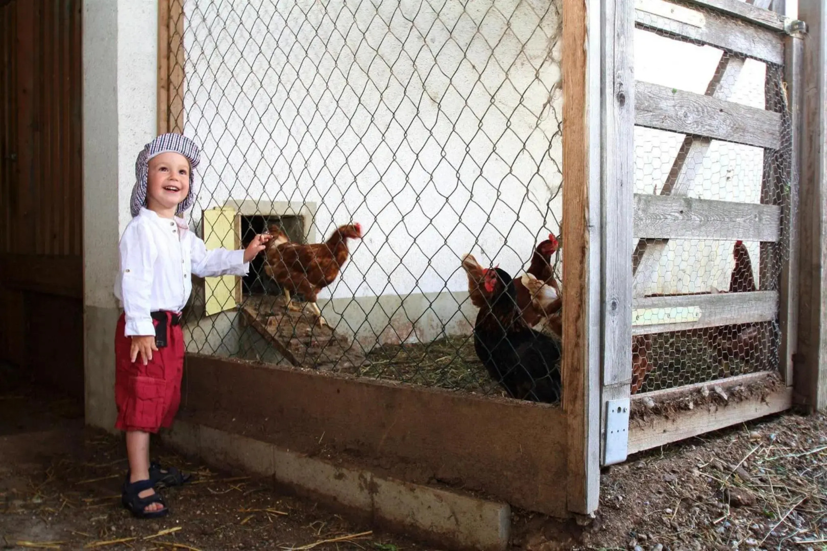 Bauernhof Ferienwohnungen Sennhof