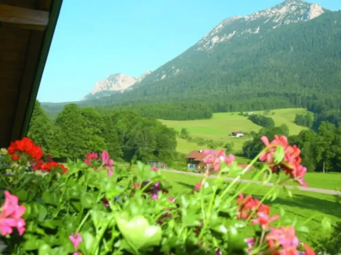 Staufenblick Roof Studio in the House