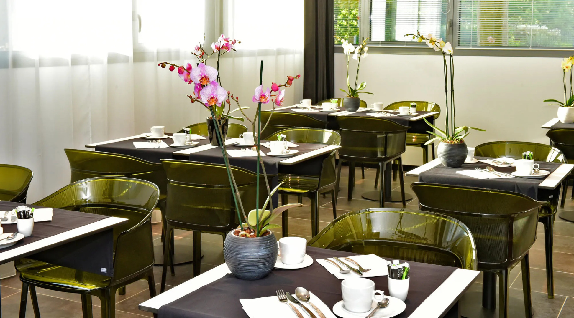 Best Western Plus Central Park Hotel & Spa