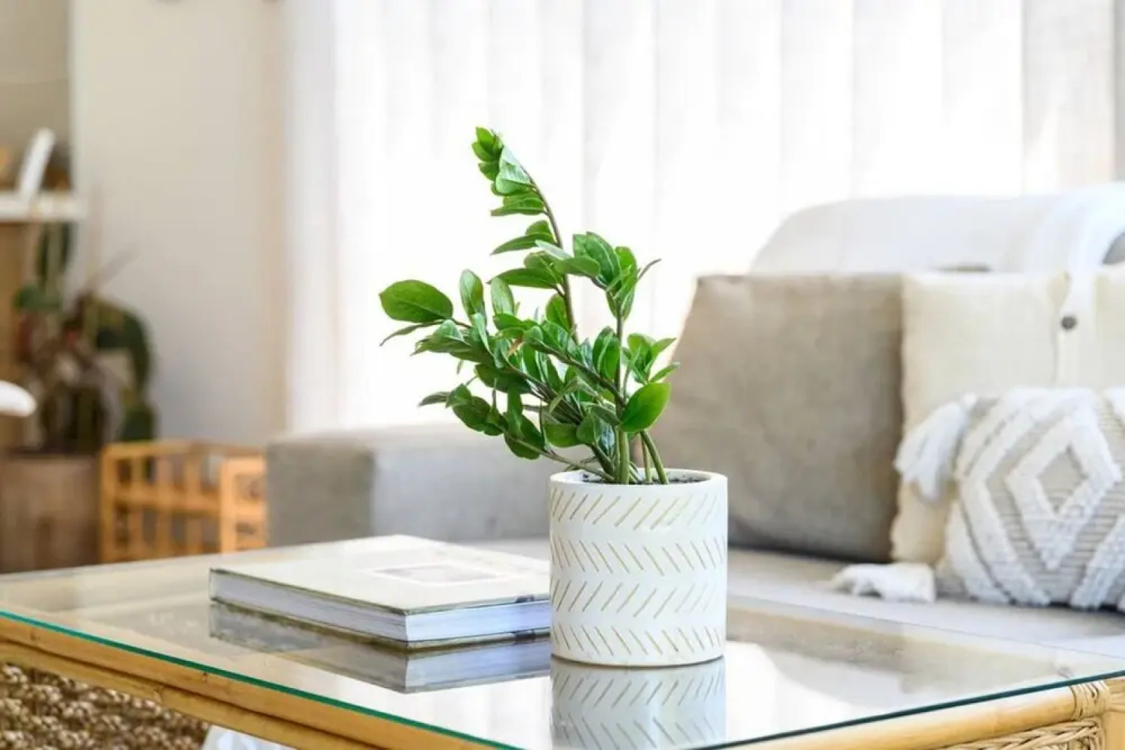 Your Ocean Oasis Ocean Country Views Spa Pet Friendly Fireplace