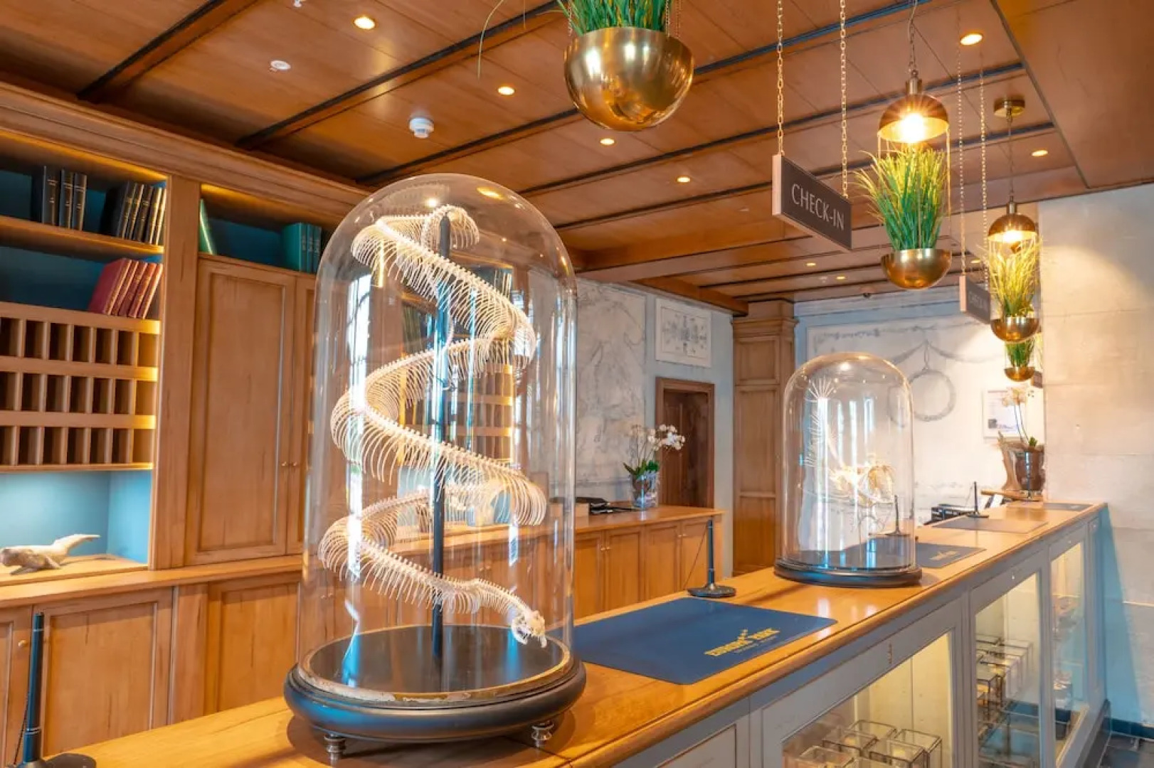 Europa-Park Erlebnis-Resort, Hotel Krønasår