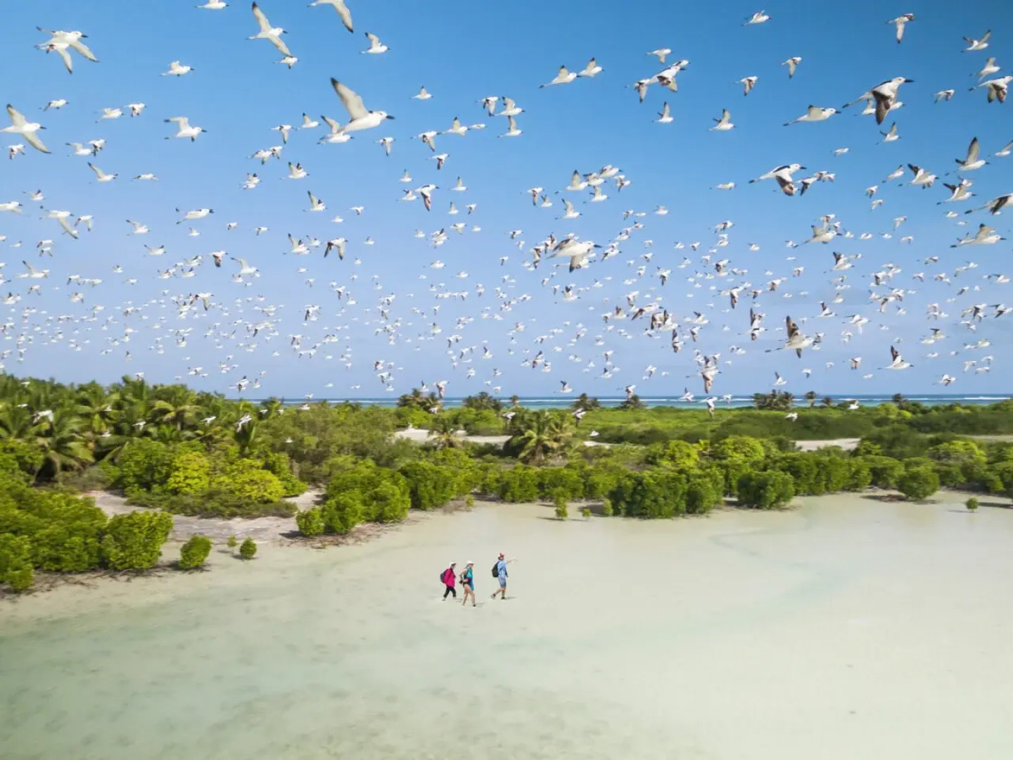 Alphonse Island Resort