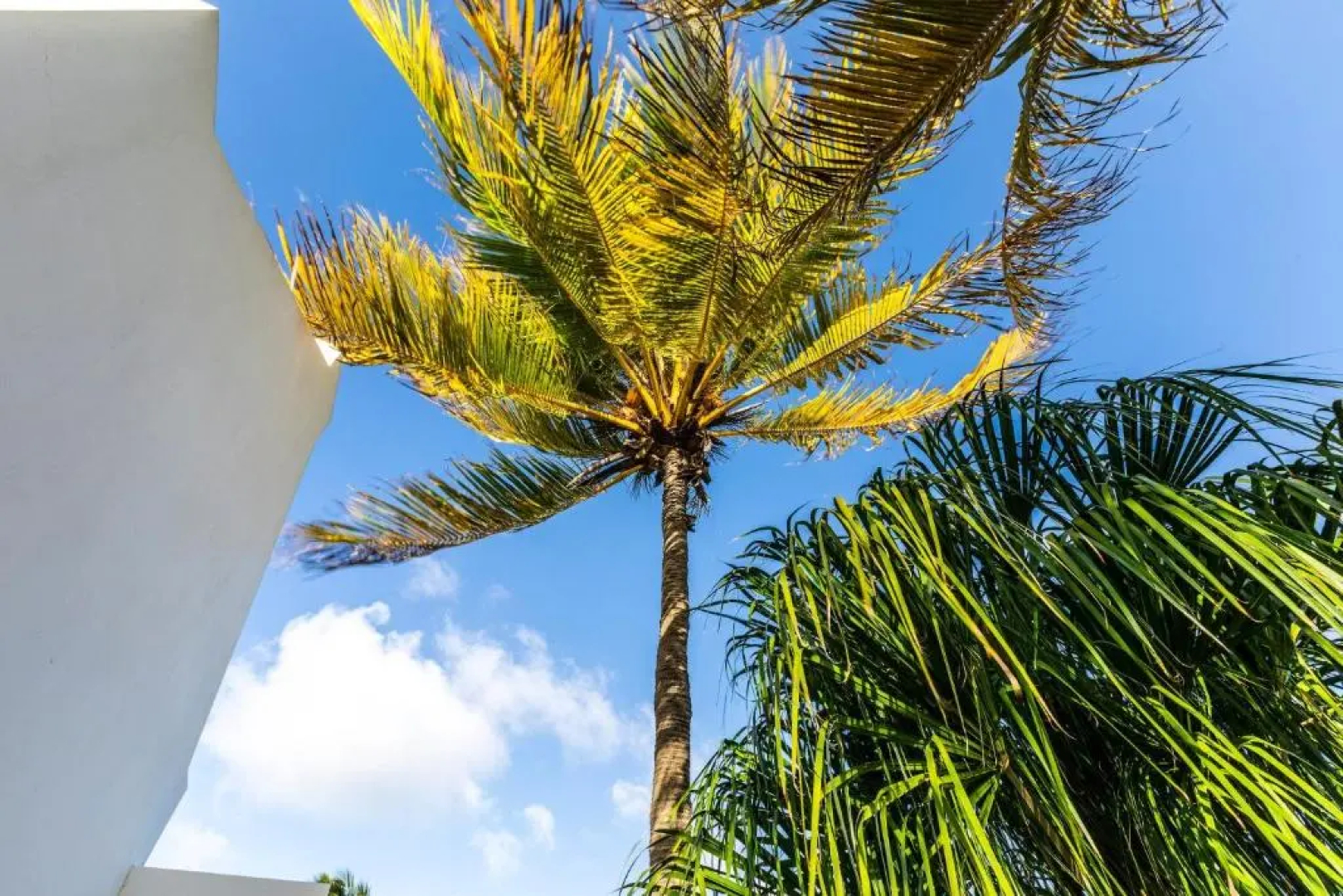 Oceanfront 72 & Sunny
