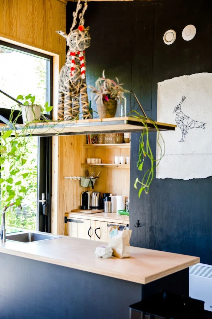 Waterlodge Ljip in Nes