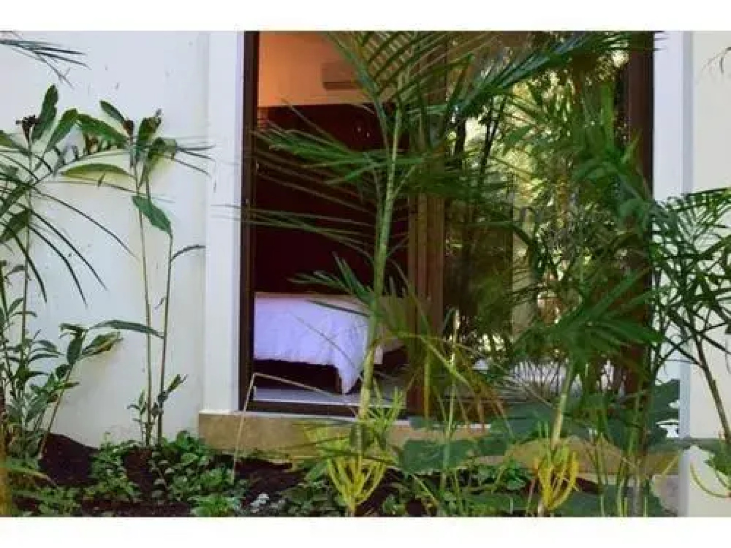 TAO Garden Luxury Condo