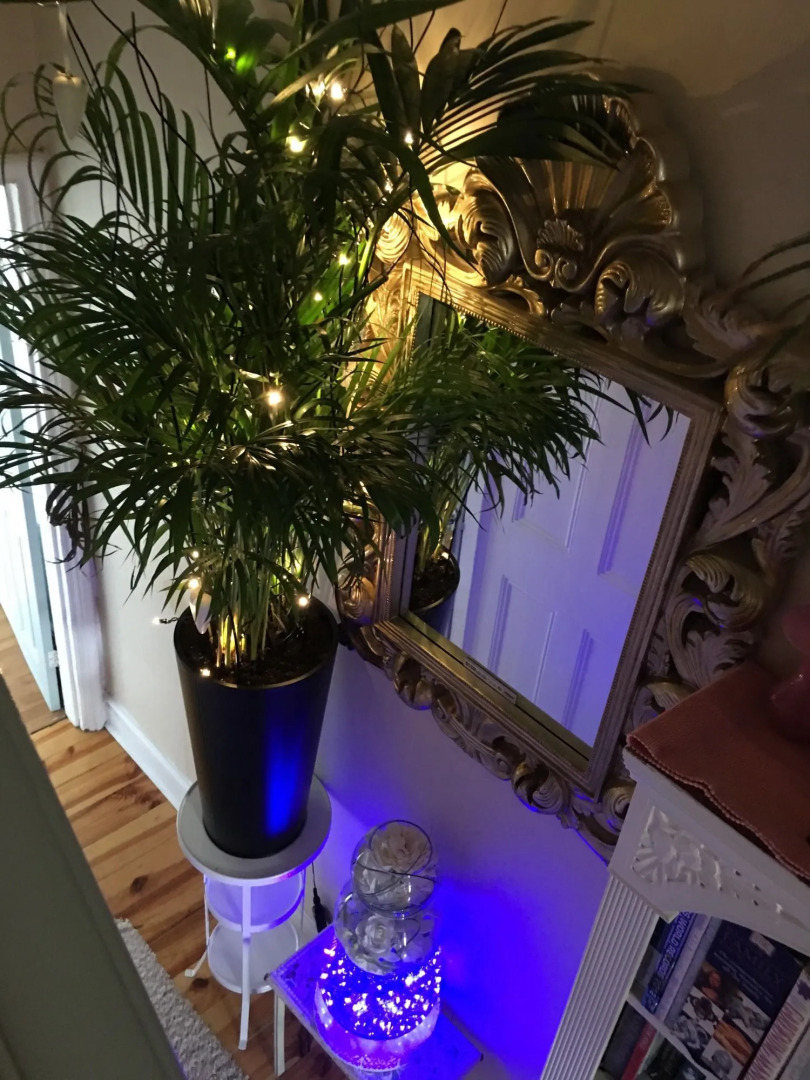 Sunny Mount Bed And Breakfast