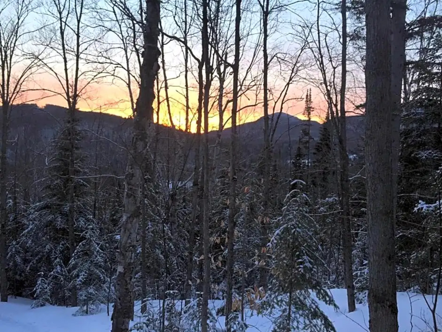 Lodge Nature Laurentides