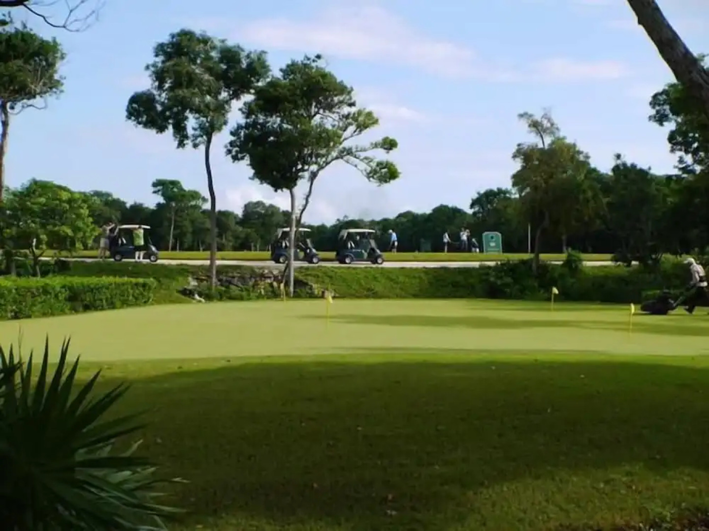 TAO Garden Luxury Condo