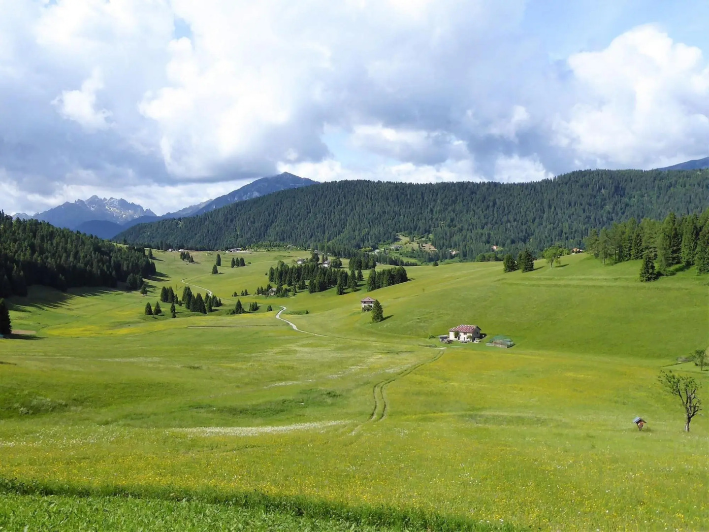 Wooden chalet in Pieve Tesino with garden