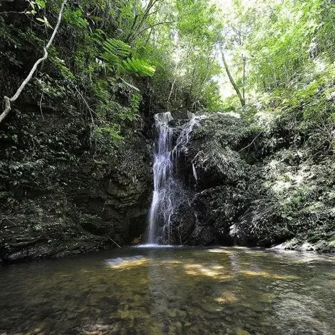 Yambaru Manabi No Mori Shukuhakuto