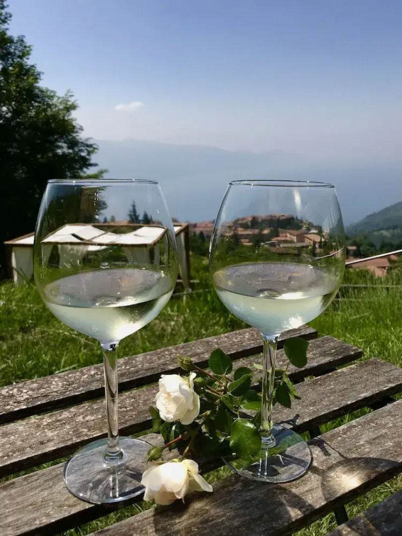 Borgo le Vigne - La Vinaccia