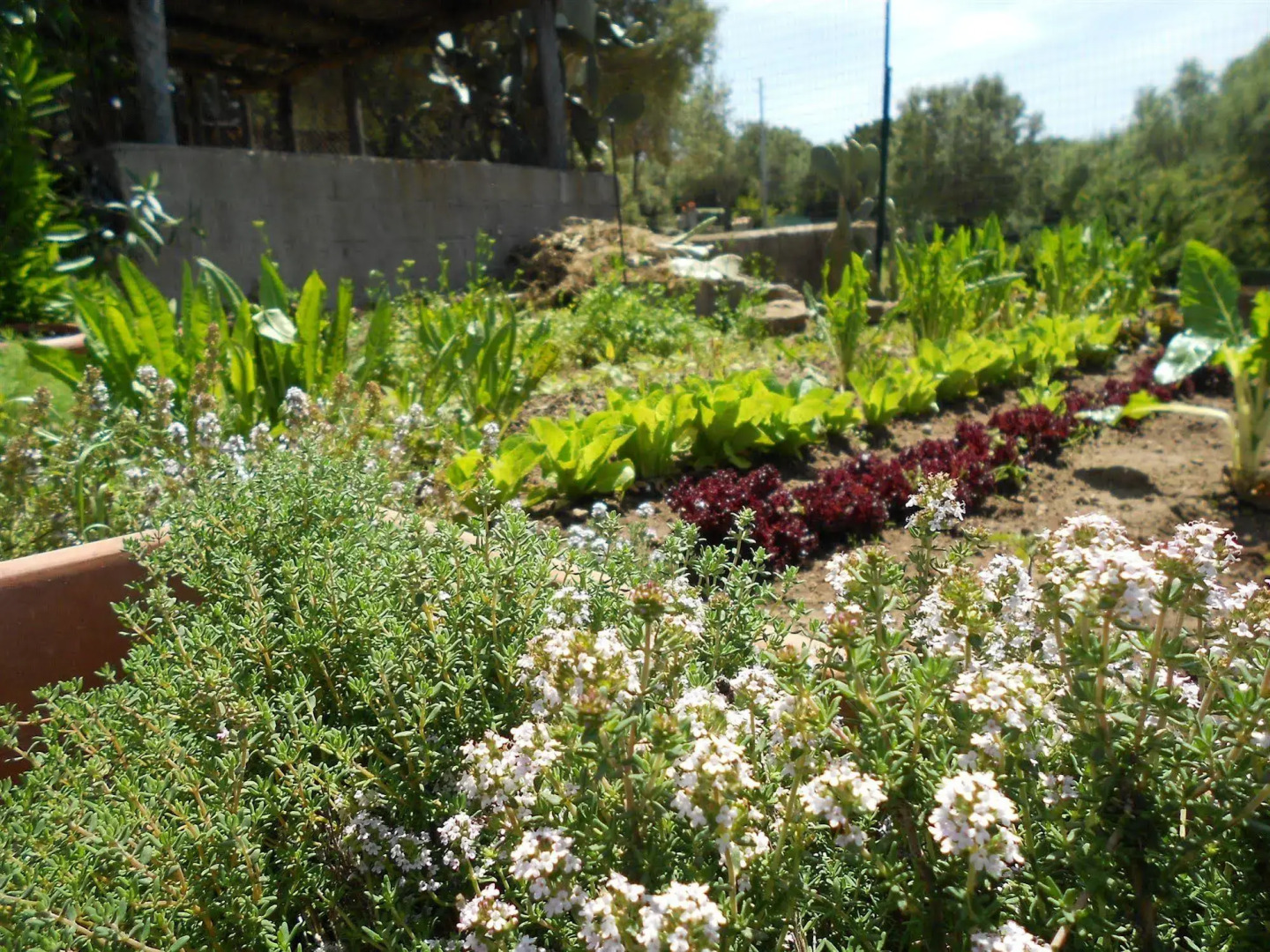 Hotel Grazia Deledda