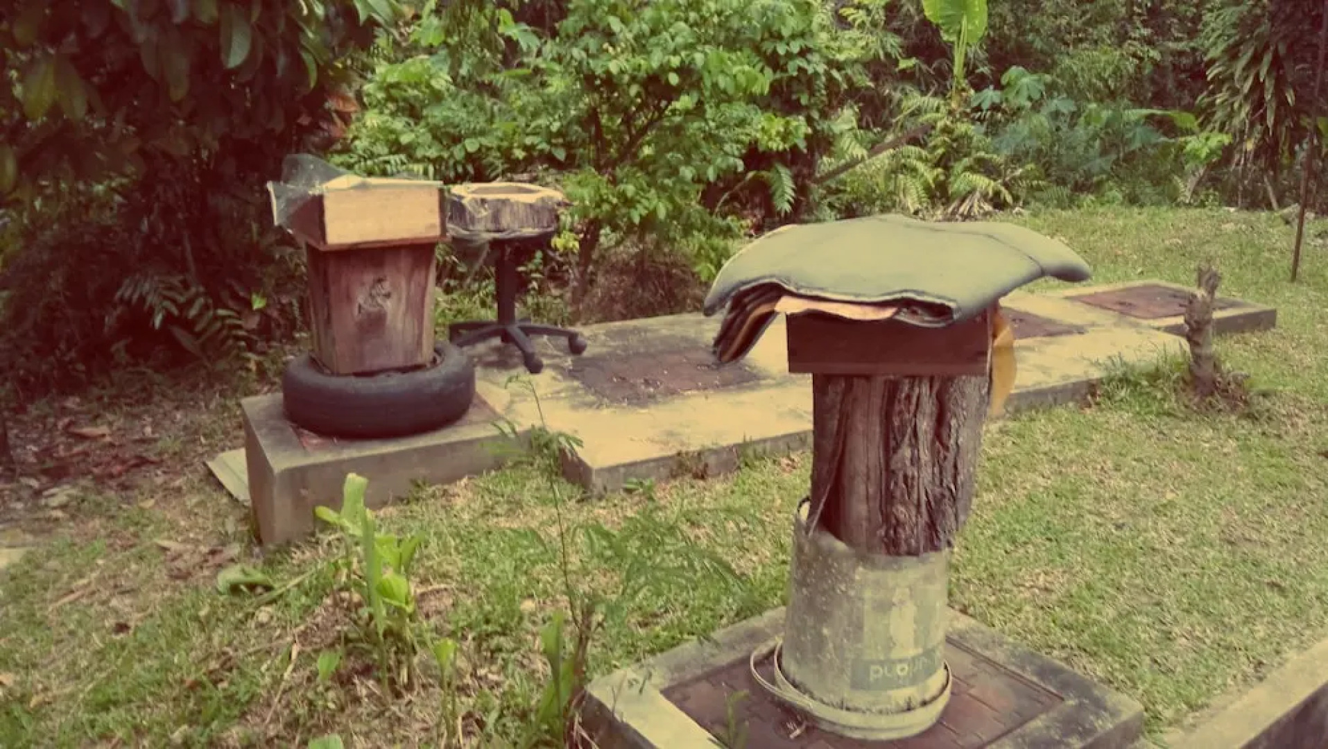 Homely Ground Apartment