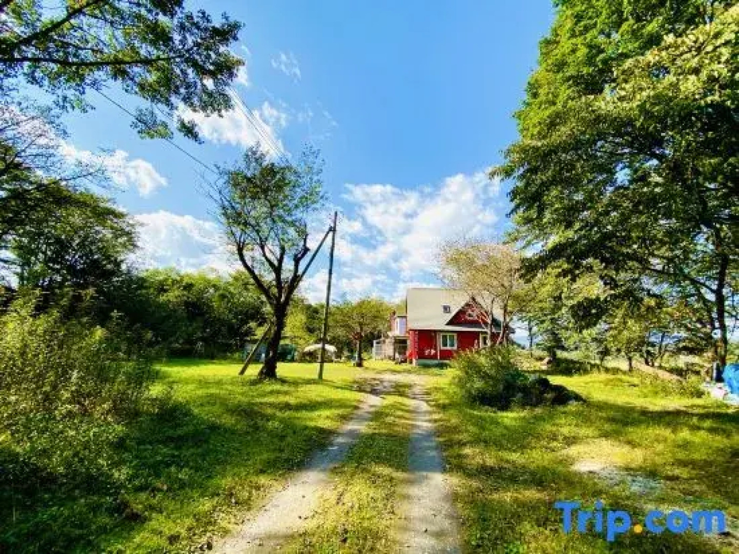 Tomy's Log House - Need Car