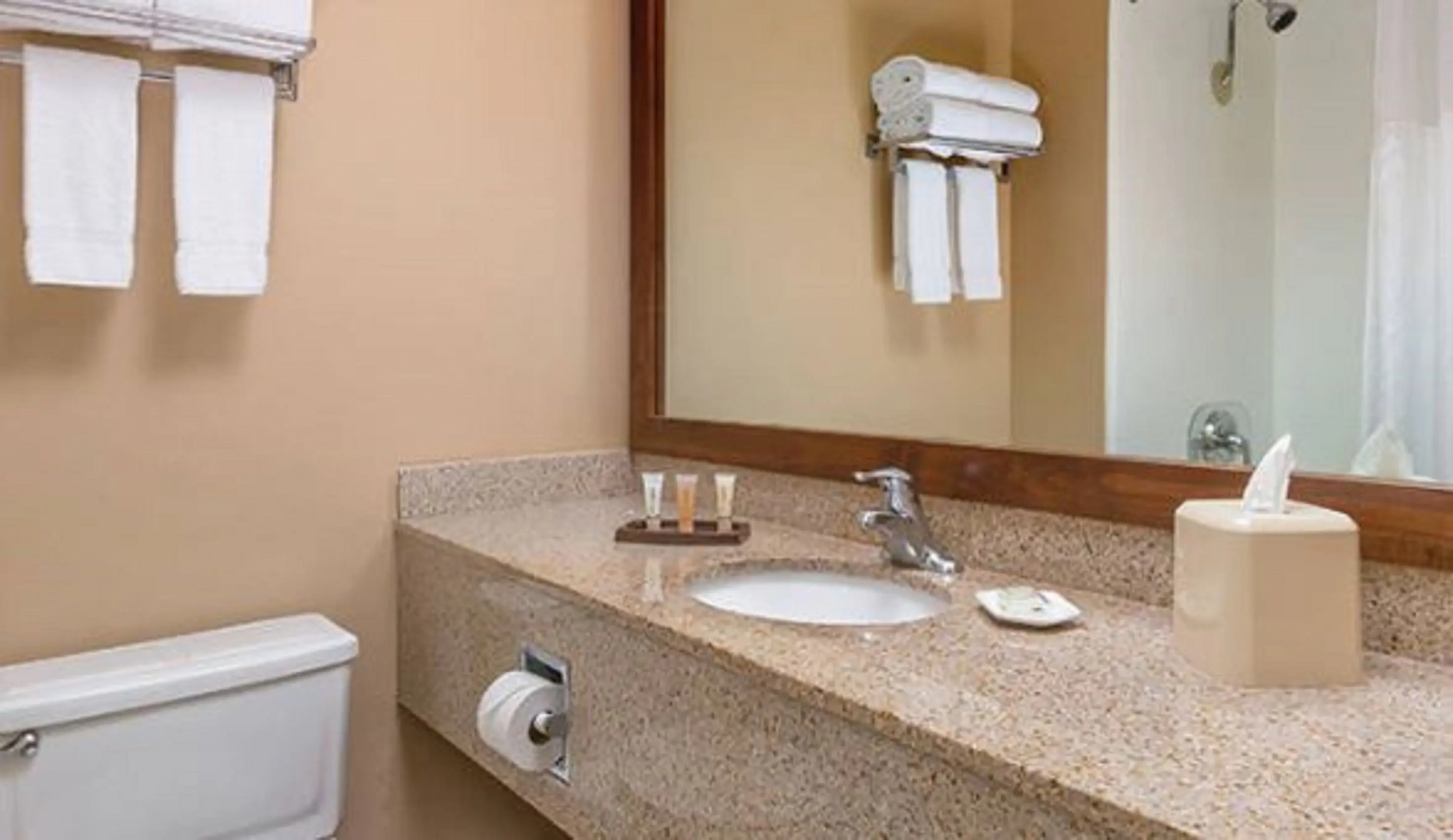 WorldMark Palm Springs - Plaza Resort and Spa