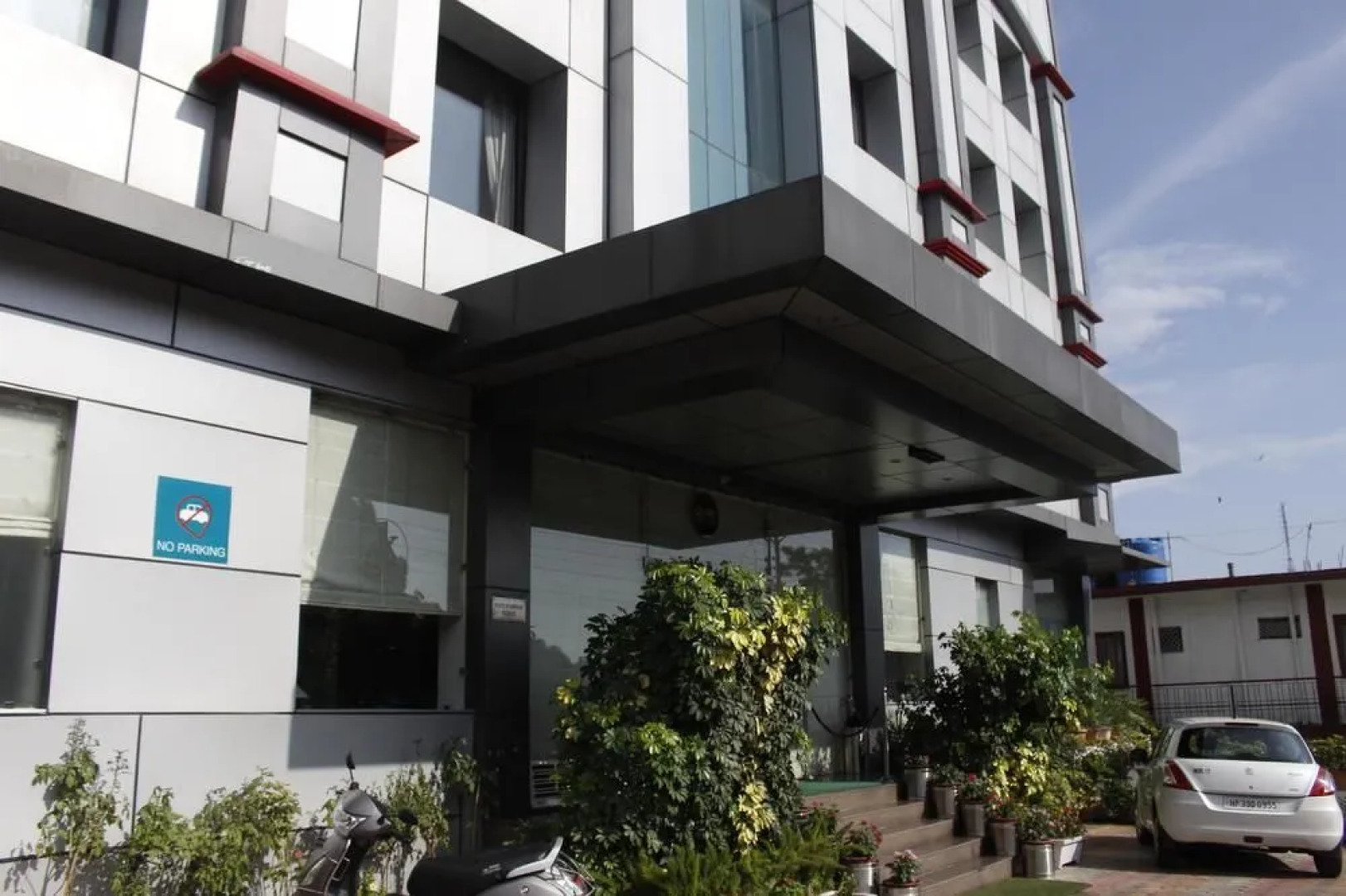 Treebo Trend GK Conifer