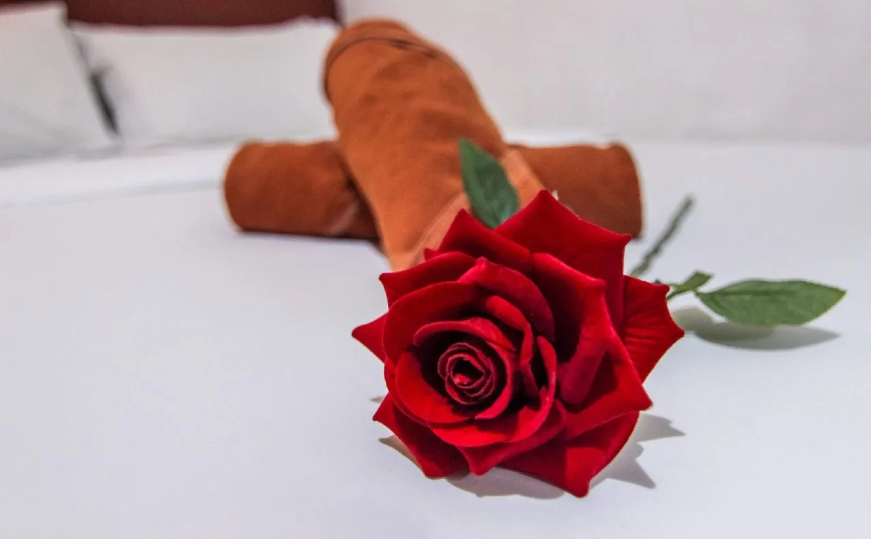 Hotel Zamburger Taman Universiti