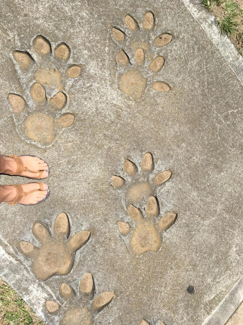 The Bridge 19 - Self Catering