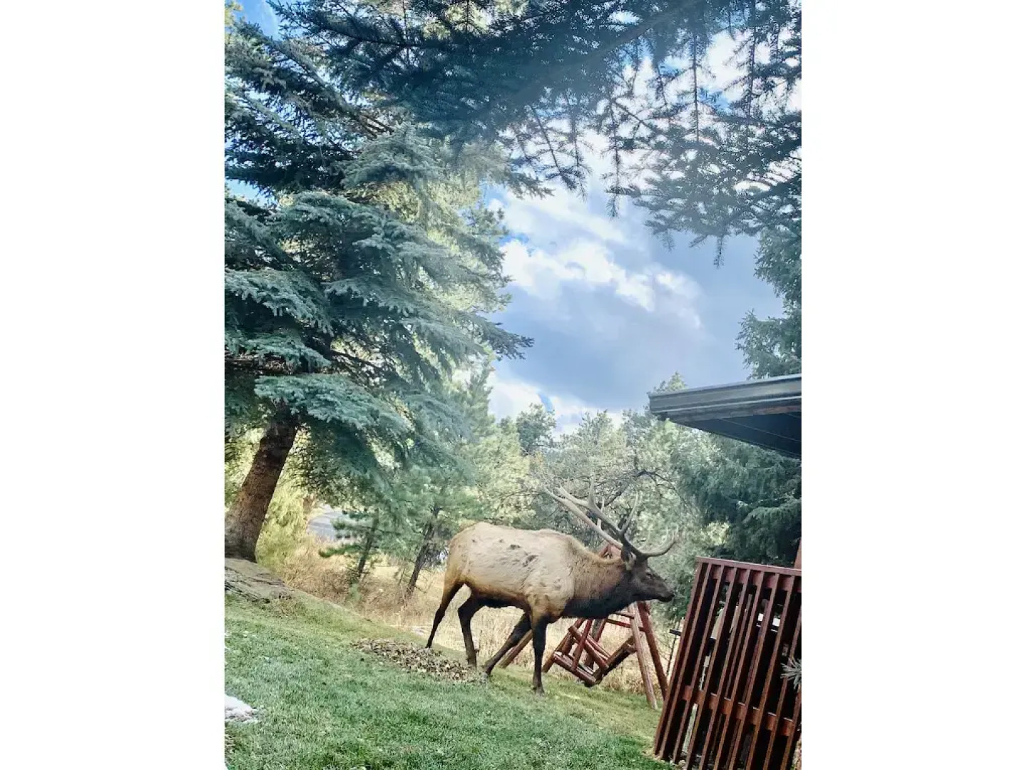 Aspen Winds on Fall River