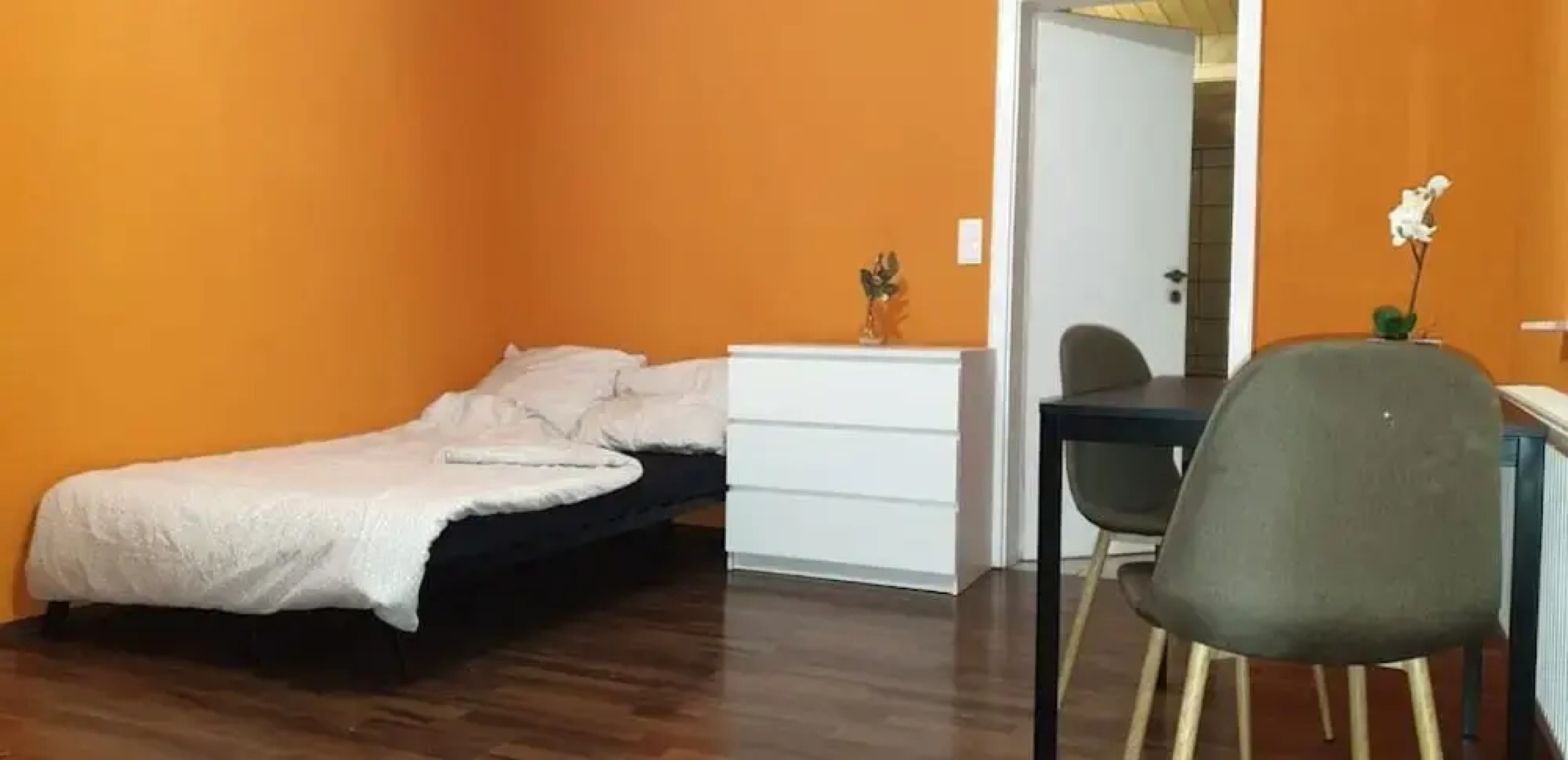 Heidelberg Monteurapart