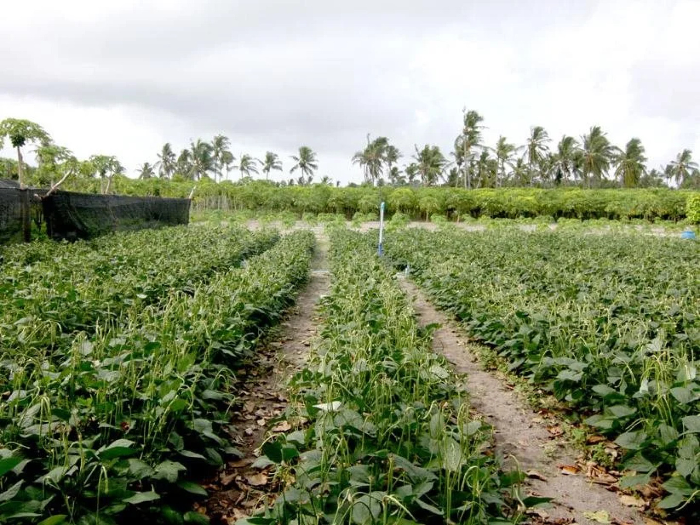Serene Sky Guest House