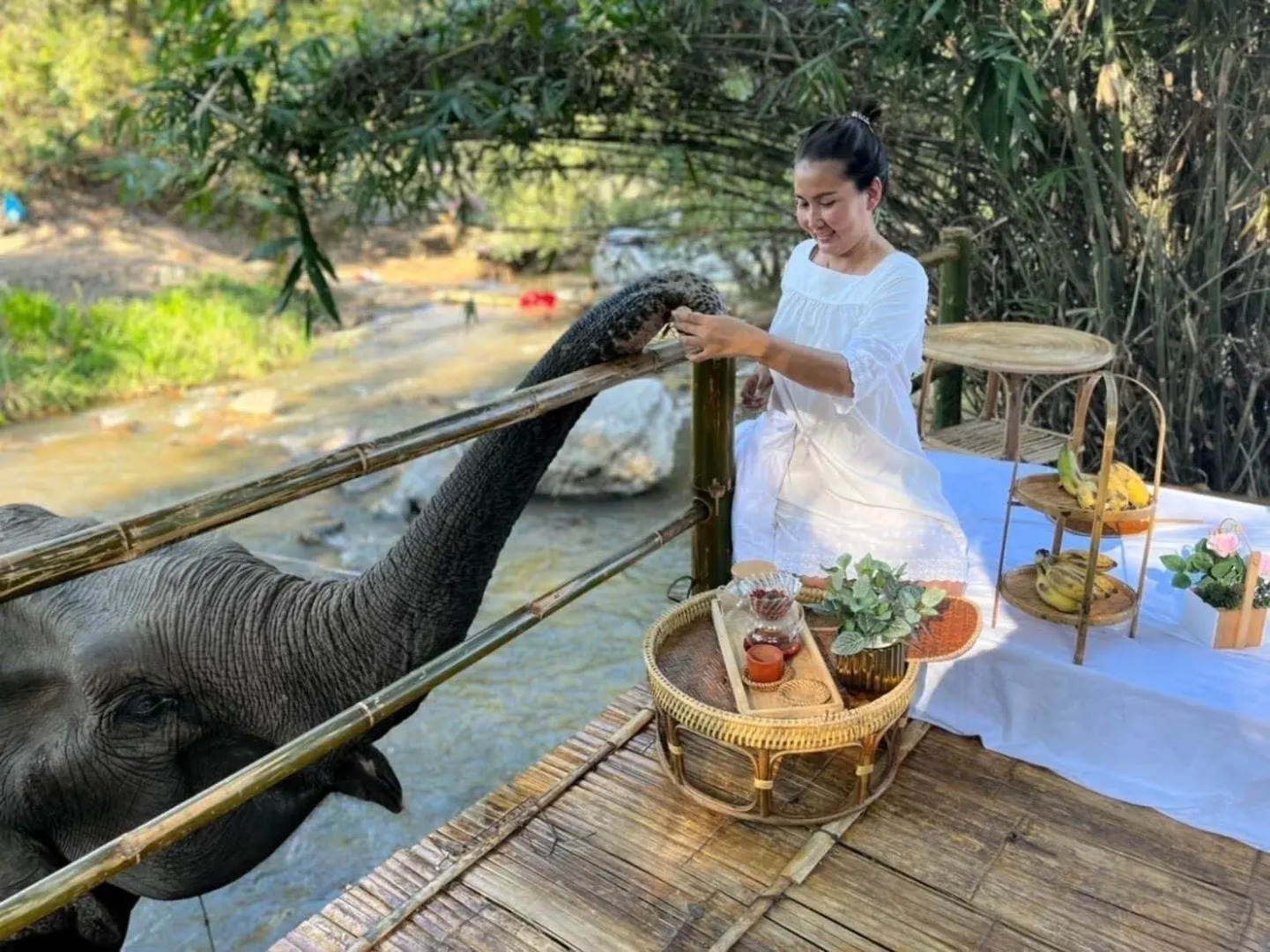 3pok resort Maewang jinxing