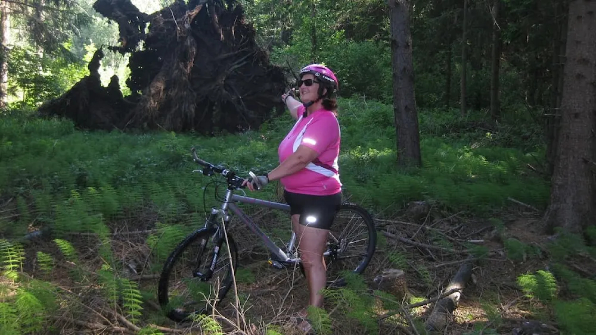 Ferienwohnung Bücherl