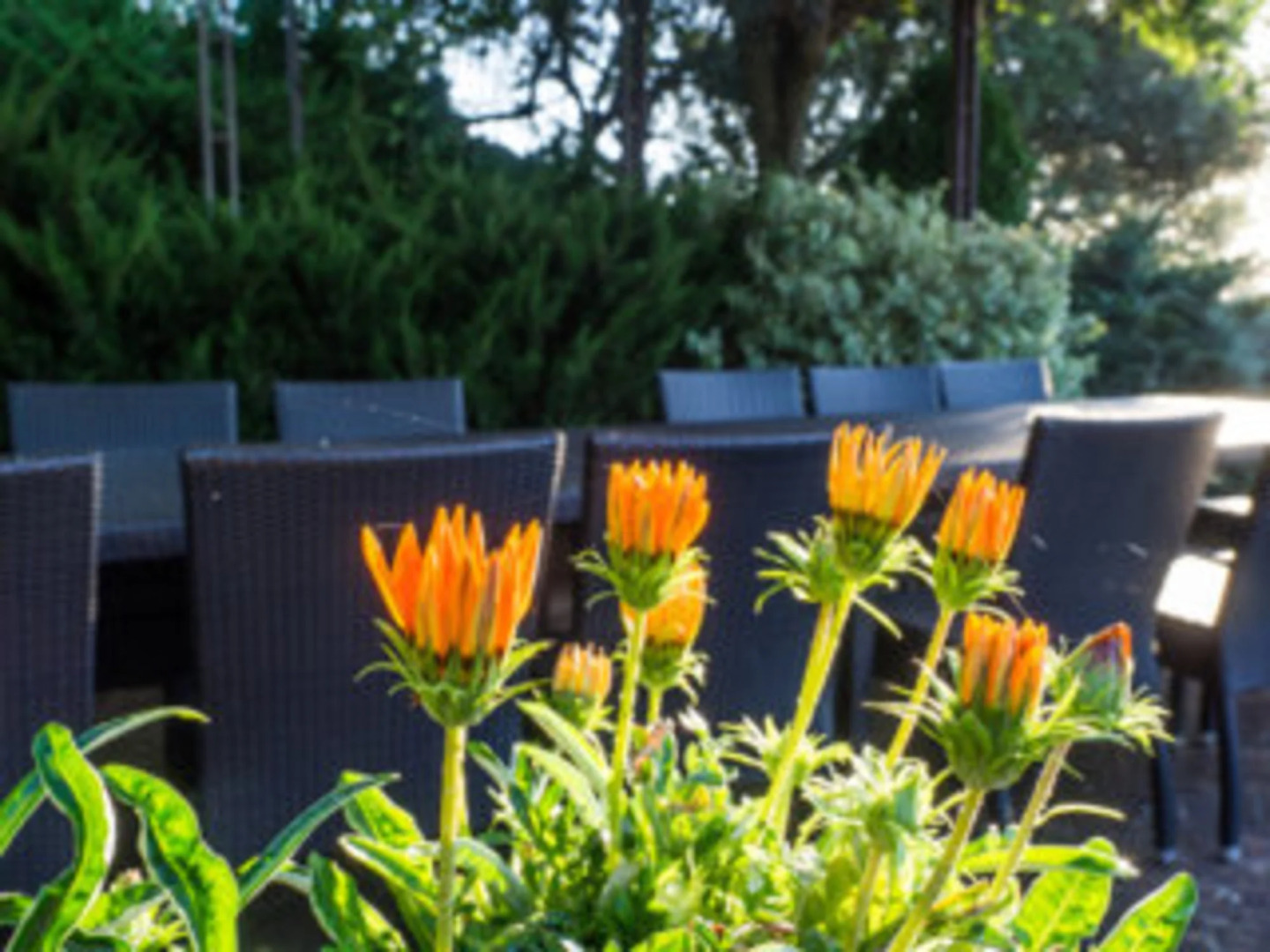 poggio alla rocca - alba