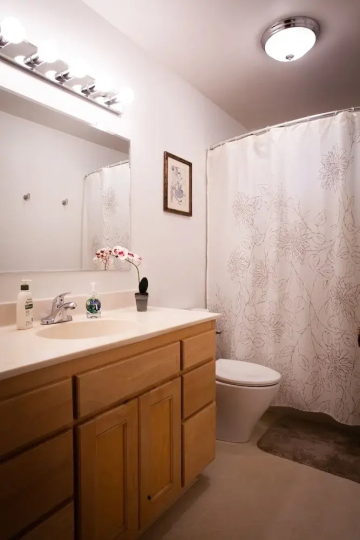 Casa Bella: Serene & Welcoming Home In Santa Rosa! Home