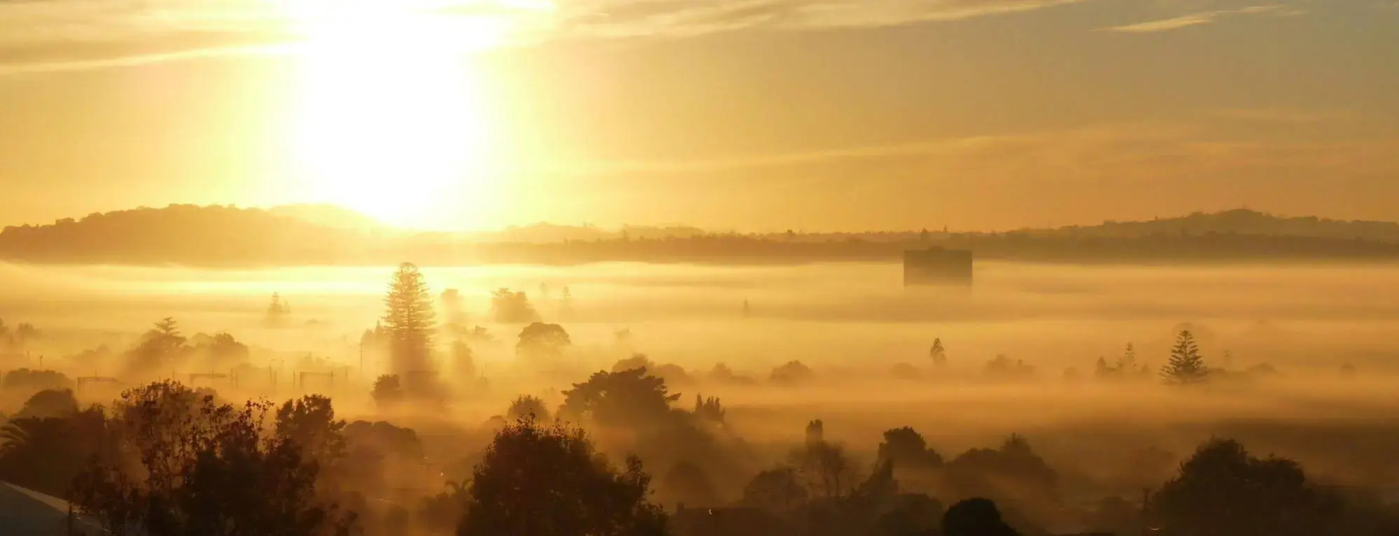 Kiwi Heritage Homestay