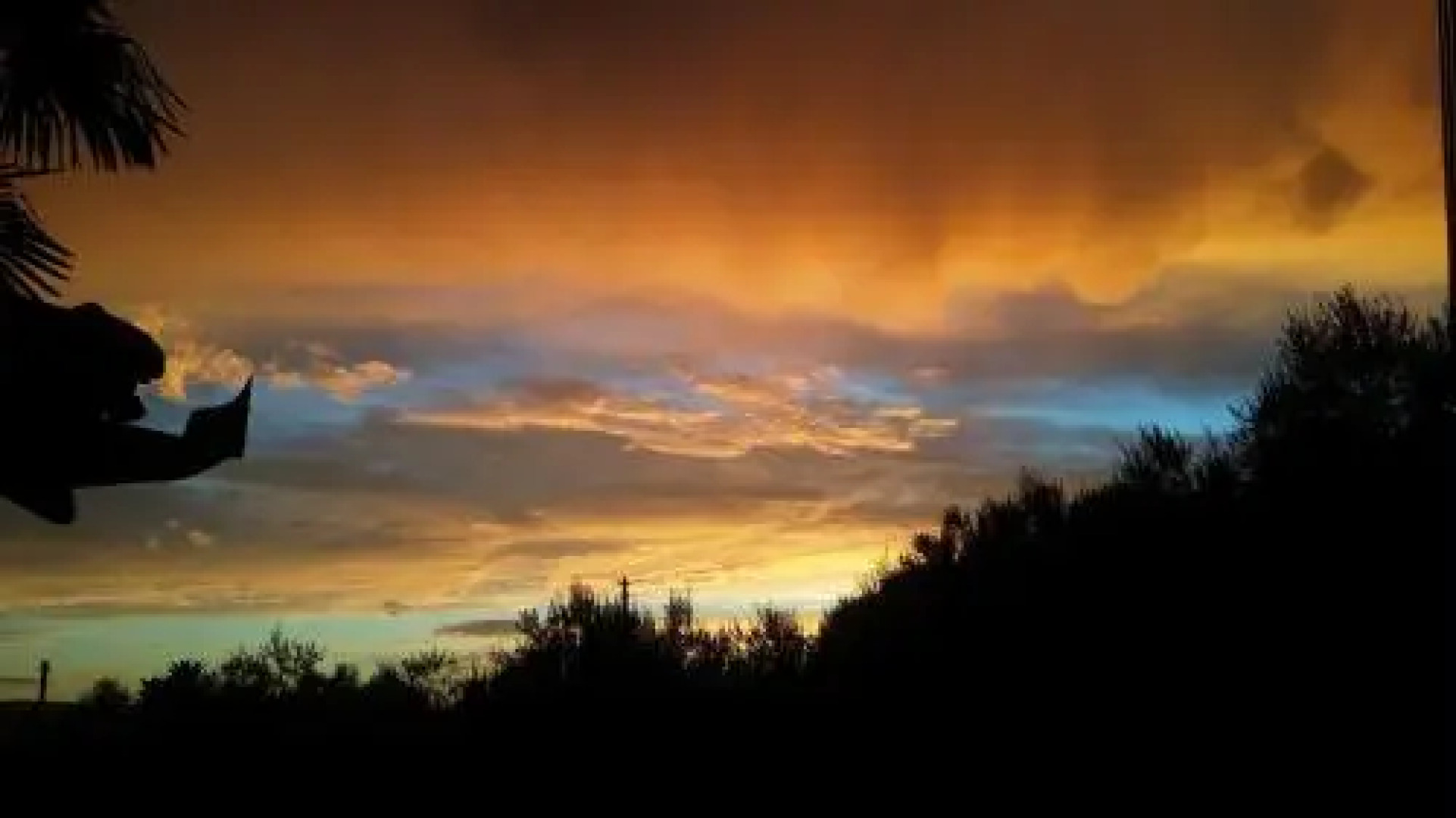 Rooms & Apartments Giulia