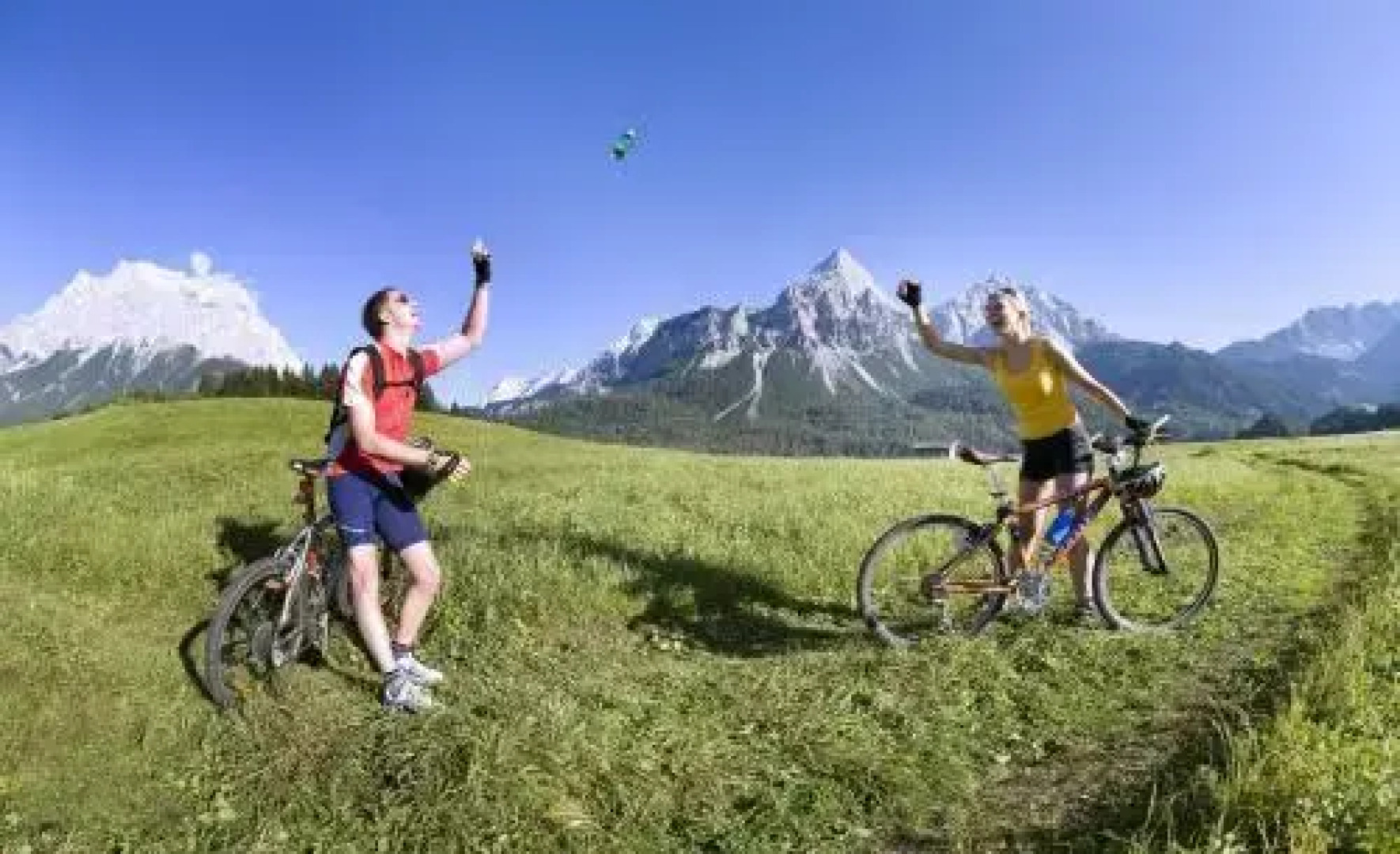 Der grüne Baum Hotel