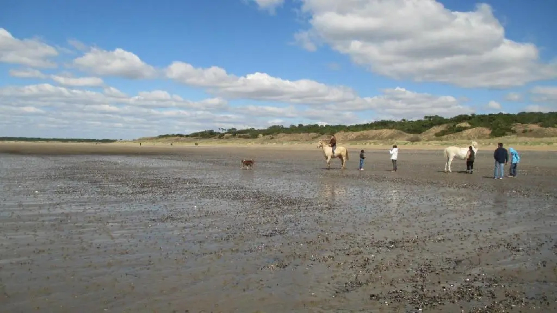 Home-Cosy - 6 Pers - 40 M2 3 Ch - 2 Sdb Et 2 Wc