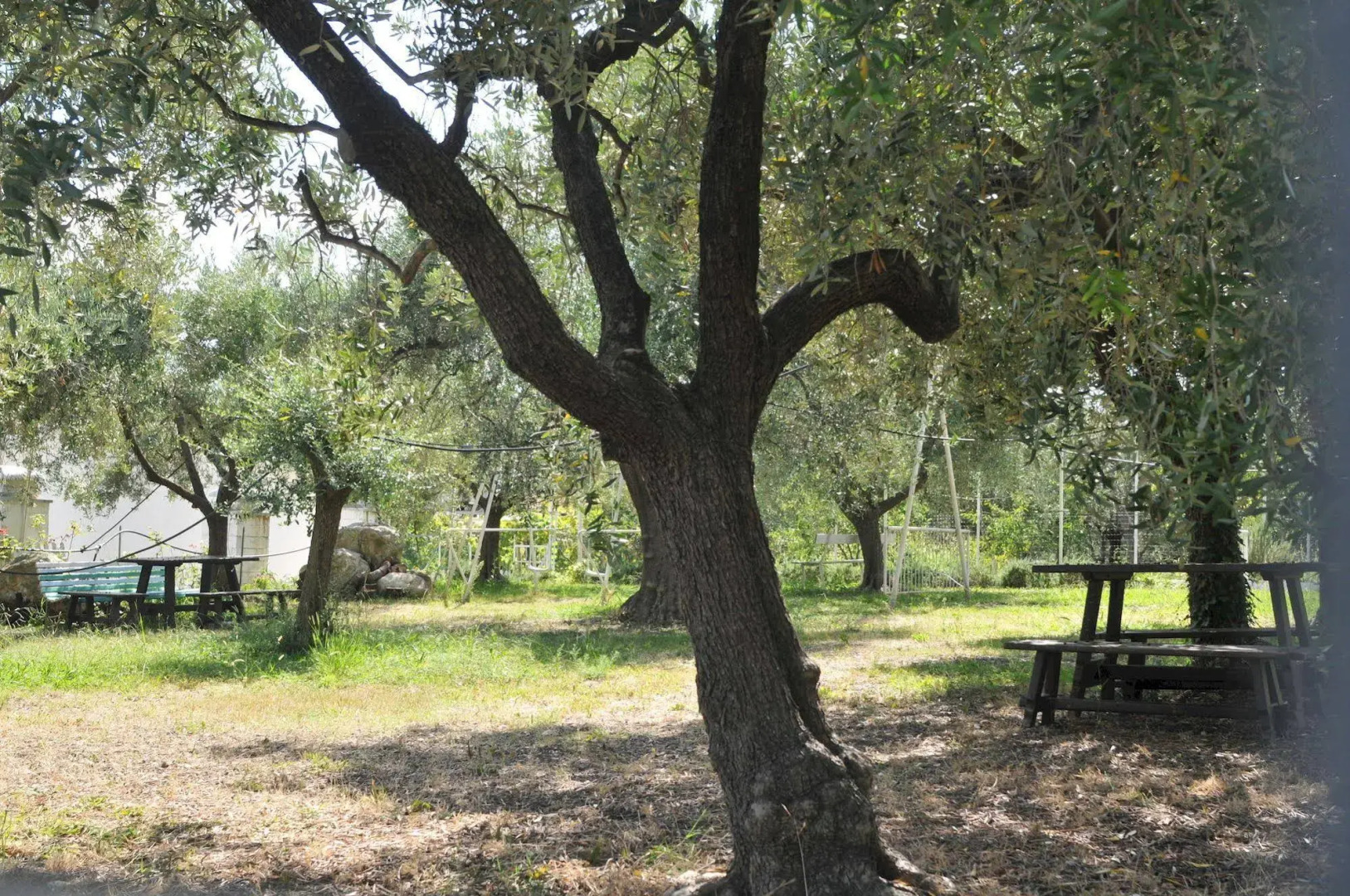 Residence Il Borgo degli Ulivi Resort