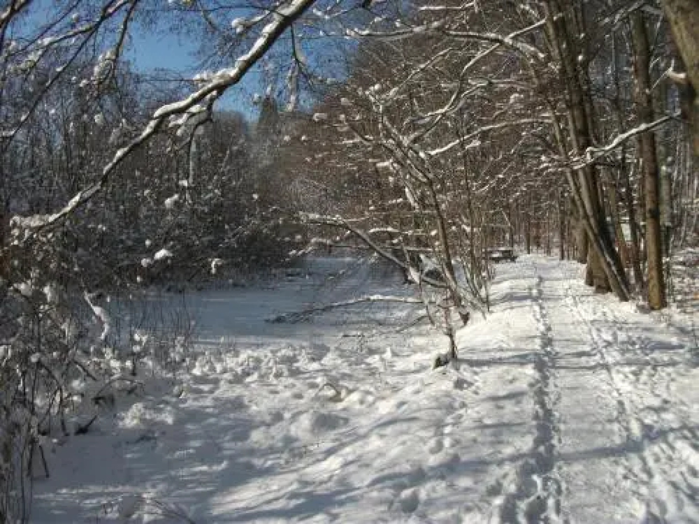 Ferienwohnung Krottensee