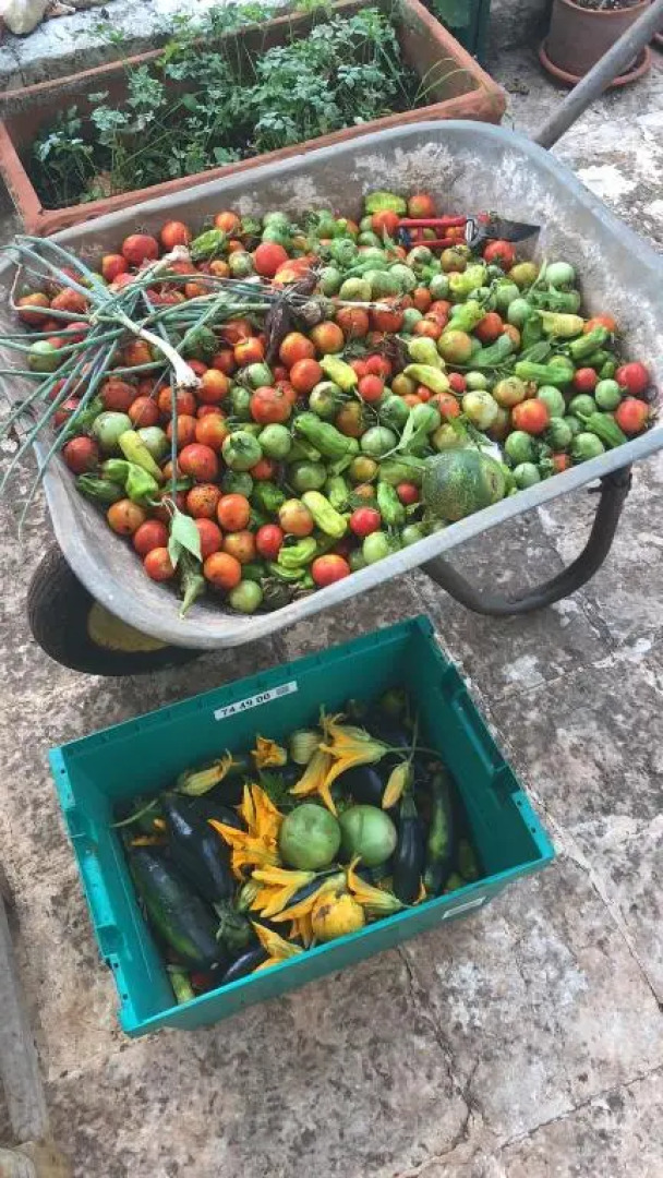 I Trulli Della Natura Bio