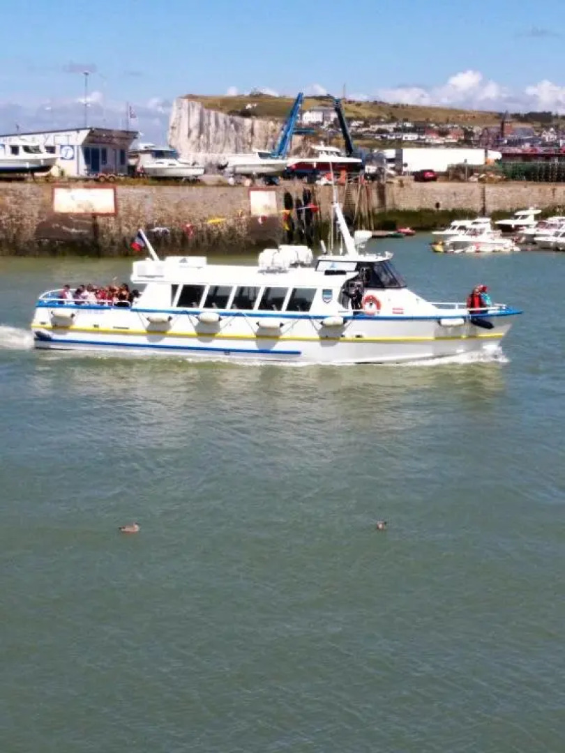 Le Chant Des Oiseaux