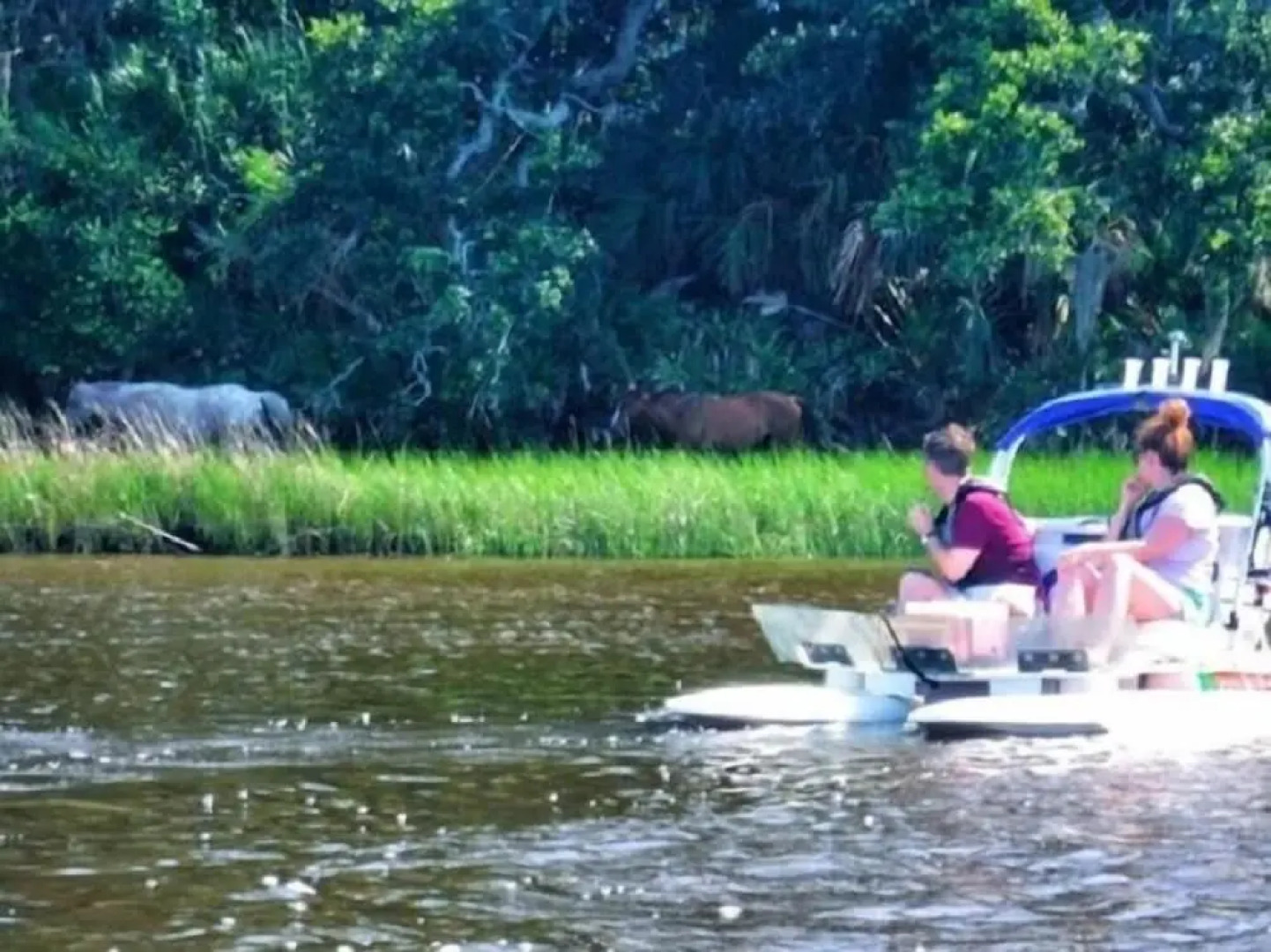 The Addison on Amelia Island