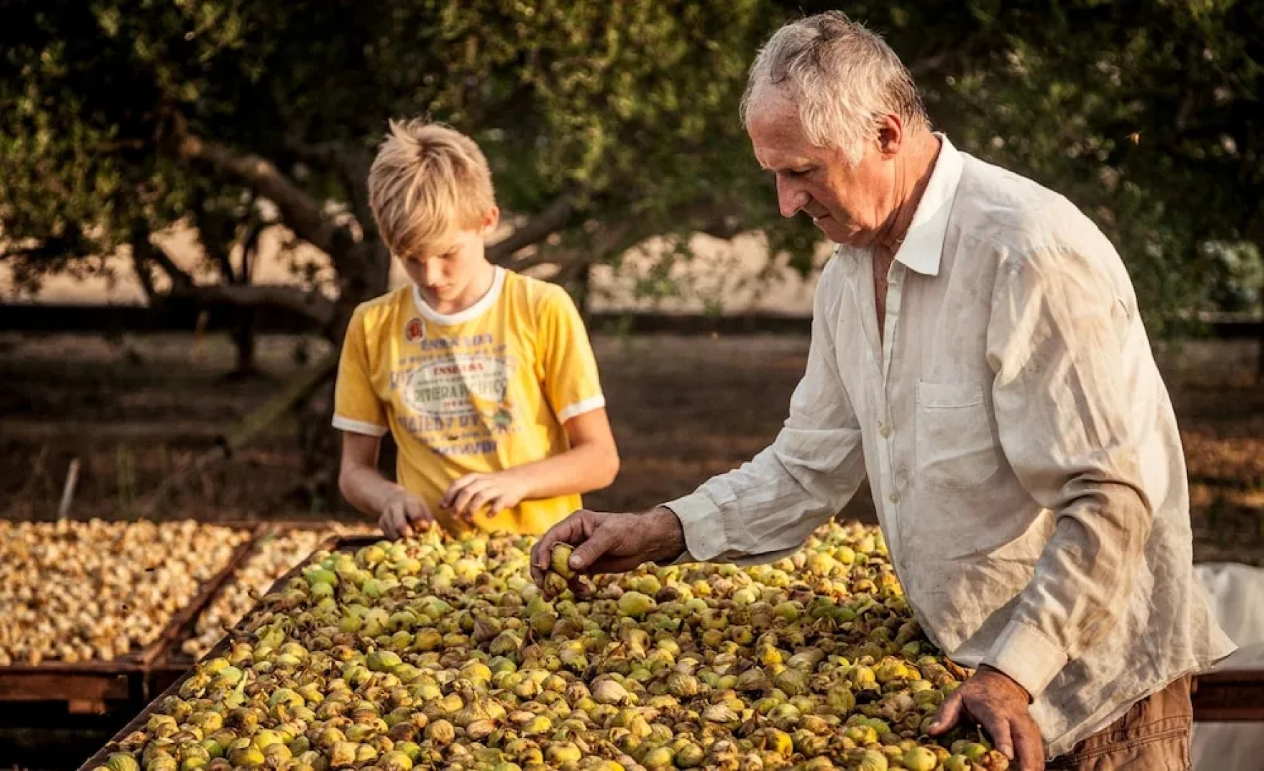 Villa Solo, Luxury Family app in Nature Park