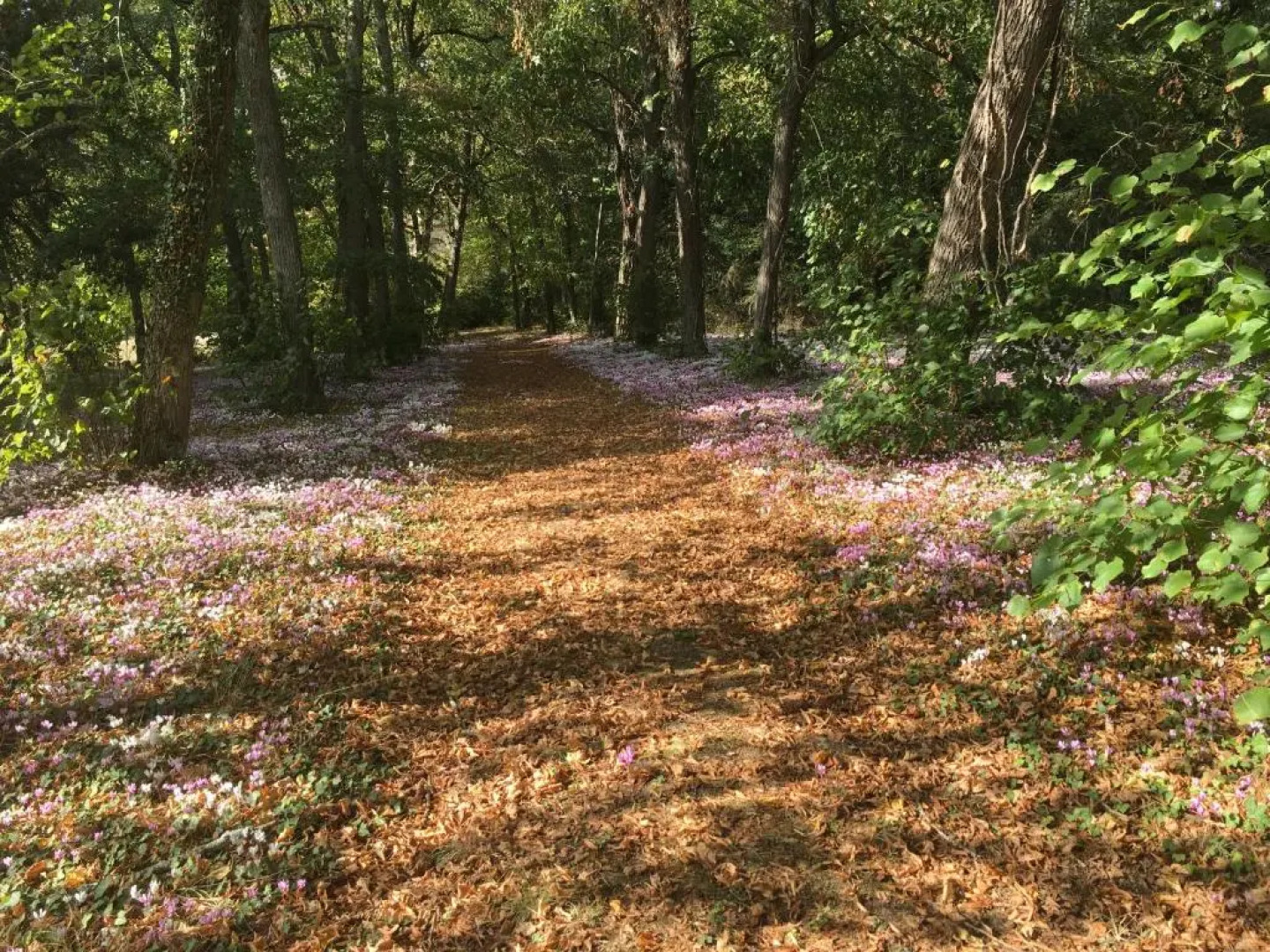 Château de Praslins