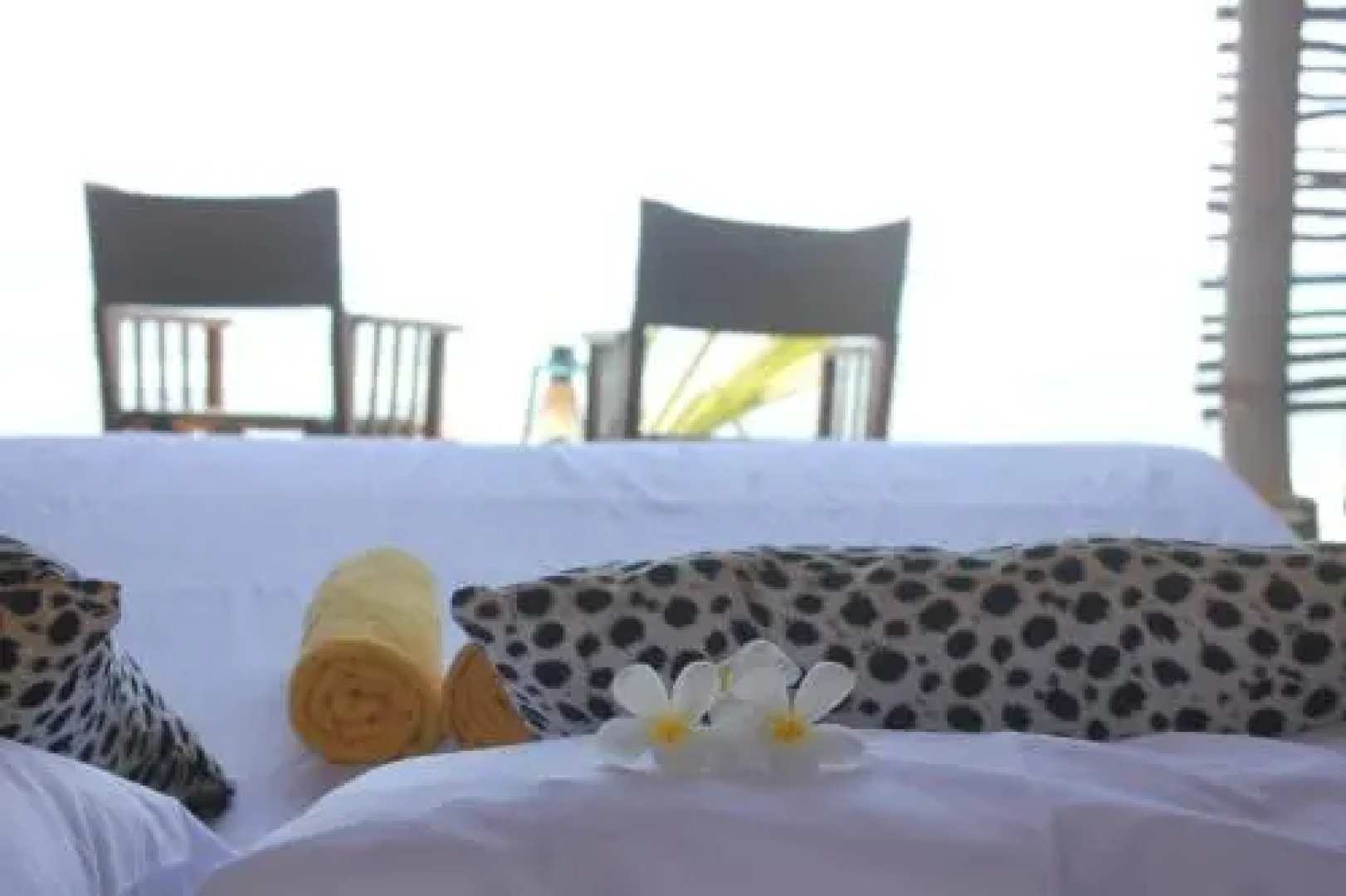 Dolphin Safari Lodge