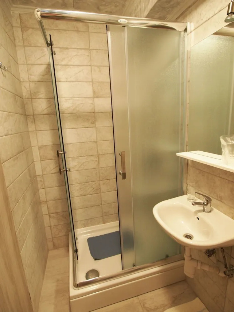 Apartments and Rooms Pavek