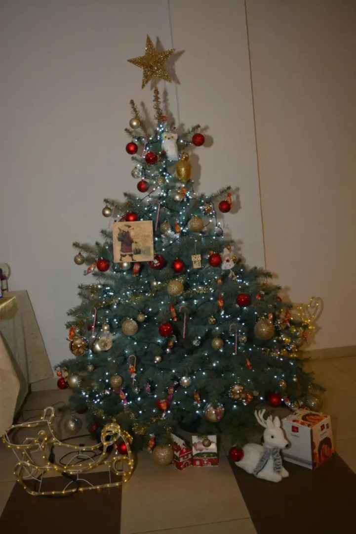 Pensiunea Craiasa Muntilor