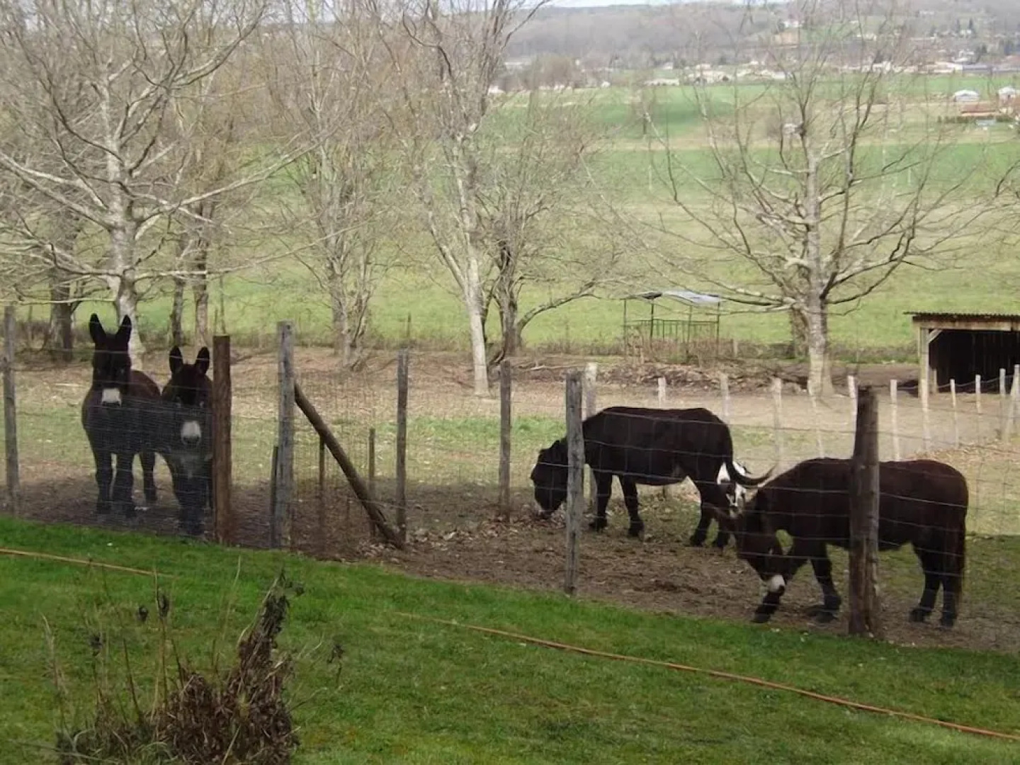 Chambres d'hôtes de charme La Gabarie