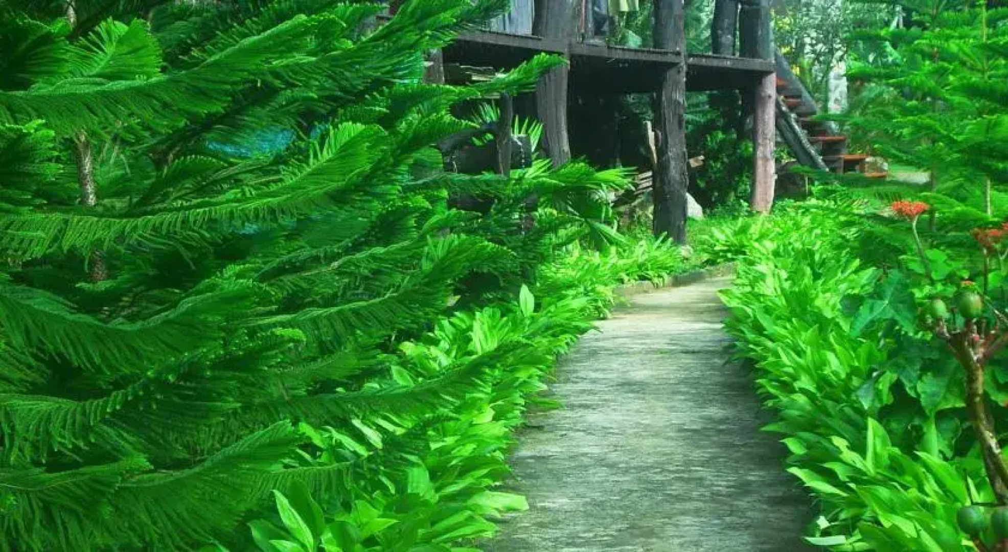 Baan Chonpao camping and resort