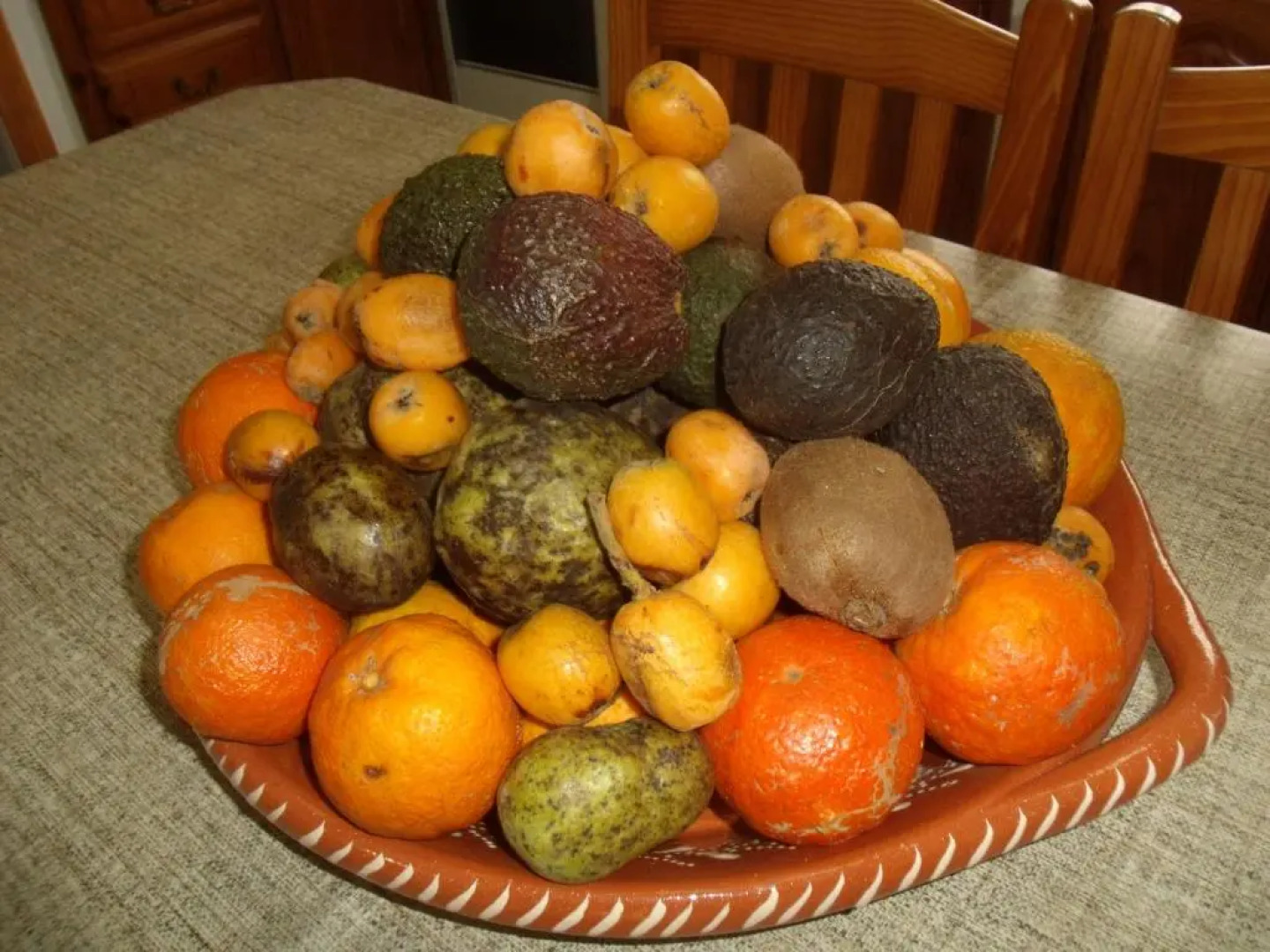 Tropical Fruit Garden