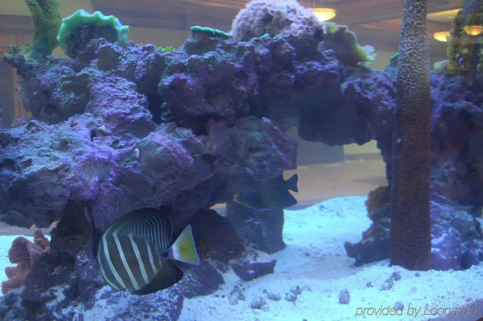 Delta Hotels Huntington Mall