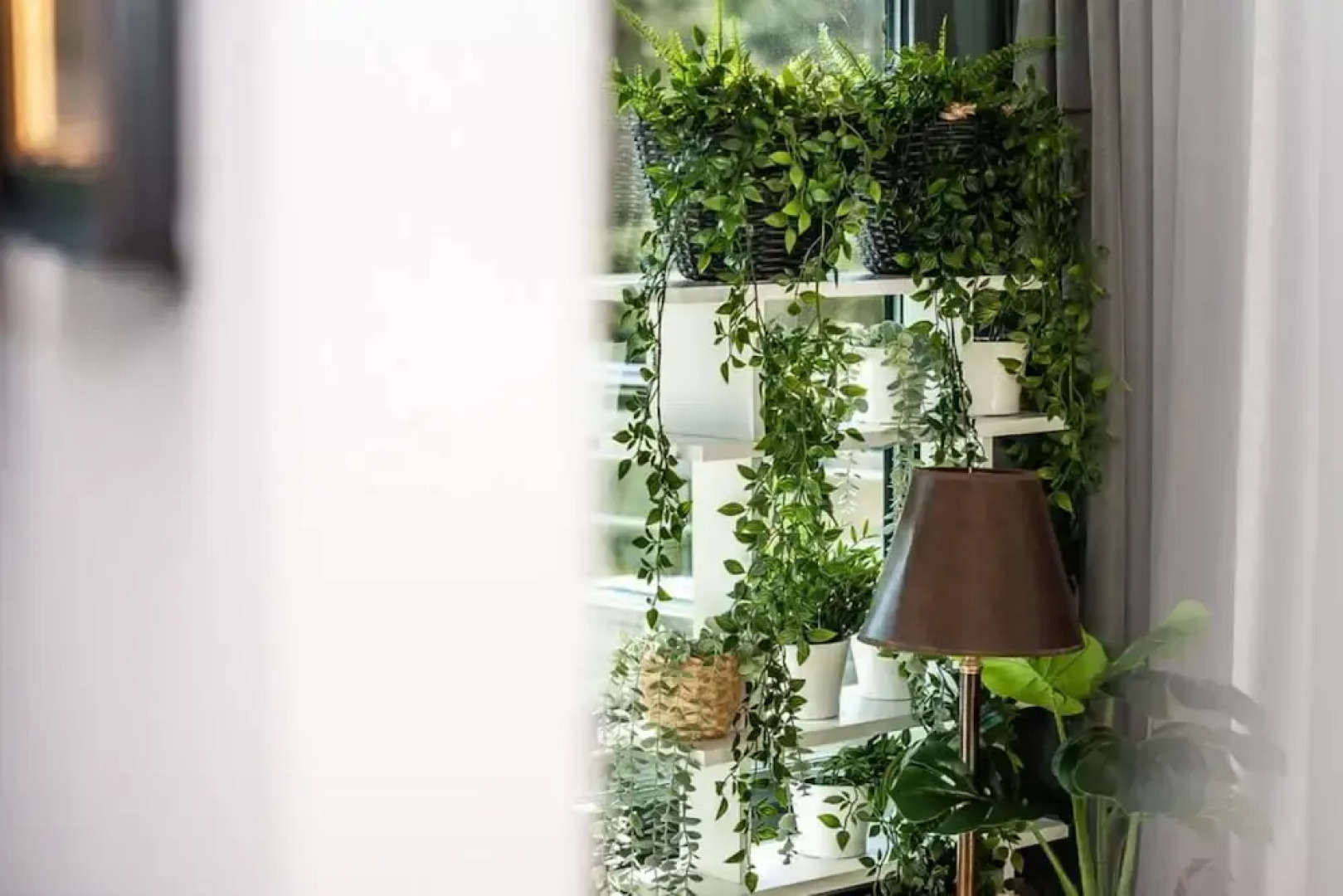 Safari Relaks i Aktywny Wypoczynek Idealna Lokalizacja